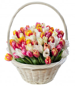 Basket of 101 tulips